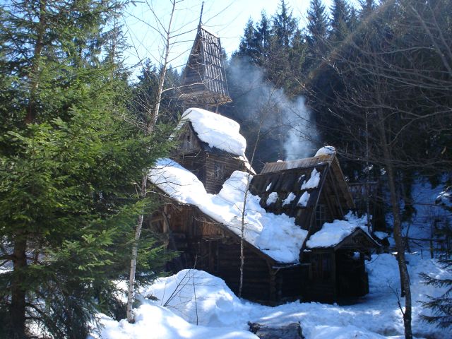 zelenkovac se budi.jpg